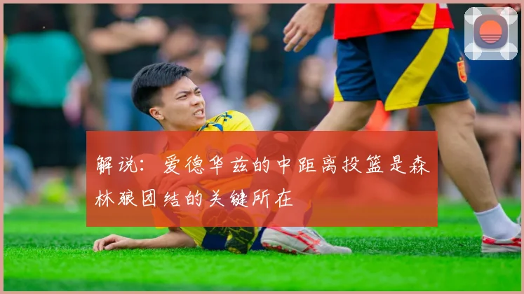 解说：爱德华兹的中距离投篮是森林狼团结的关键所在